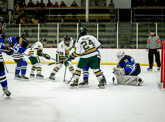 Chisago vs Rogers JV Hockey 313