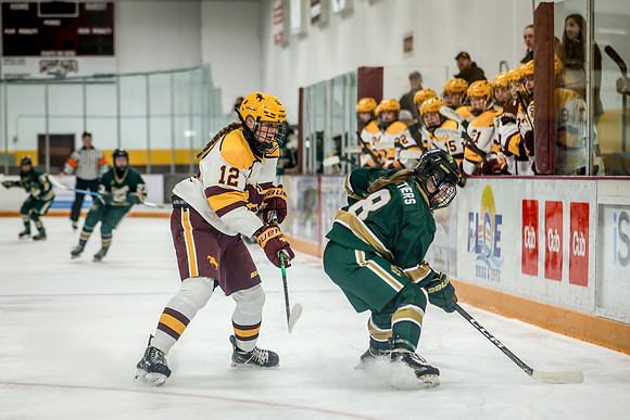 Chisago vs Forest Lake Varsity Hockey 186