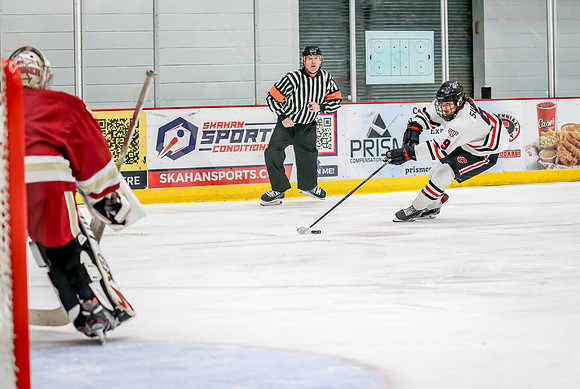 Centennial vs Maple Grove Varsity Hockey 96