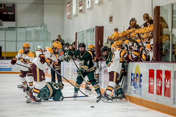 Chisago vs Forest Lake Varsity Hockey 435