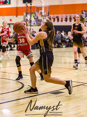 2022 Forest Lake MYAS State Tournament (72)