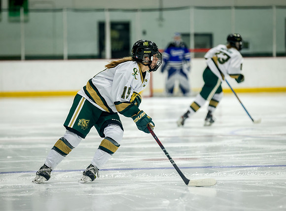 Chisago vs Rogers Varsity Hockey 260