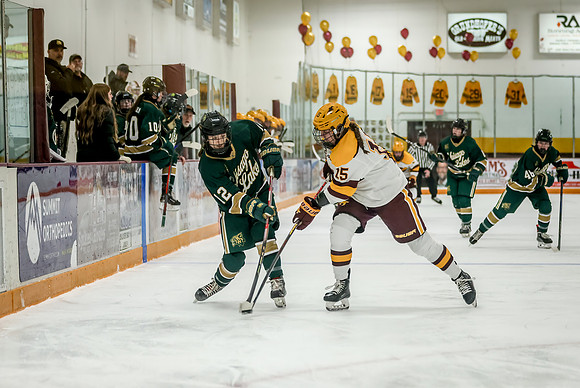 Chisago vs Forest Lake Varsity Hockey 303
