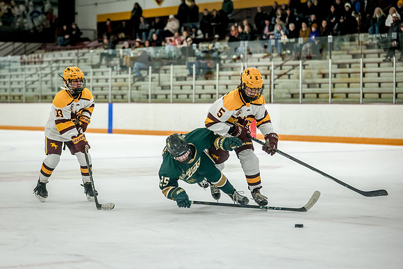 Chisago vs Forest Lake JV Hockey 145
