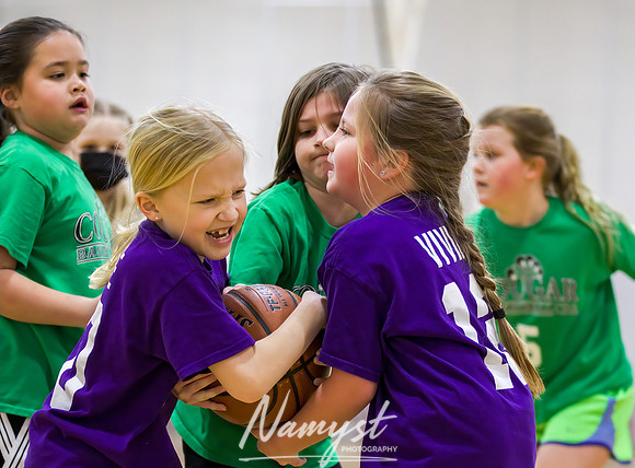 Centennial Basketball Association 103