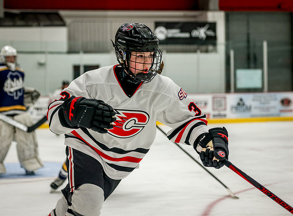Centennial vs Rosemount JV Hockey 21