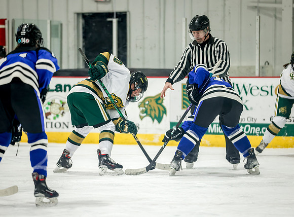 Chisago vs Rogers Varsity Hockey 212