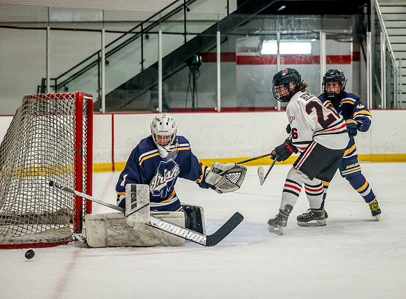 Centennial vs Rosemount JV Hockey 91