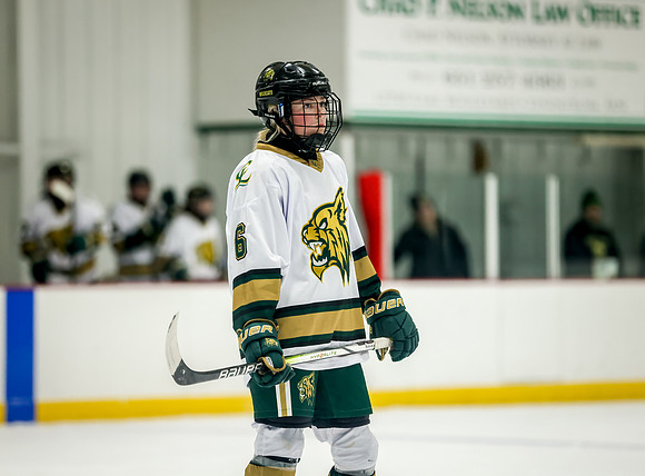 Chisago vs Rogers JV Hockey 223