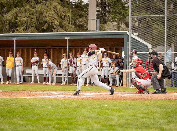 Forest Lake vs Duluth East Varsity Baseball 477