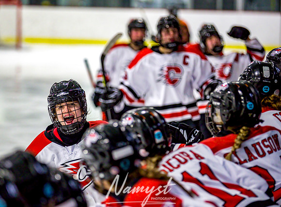 Centennial vs Osseo-Park Center Varsity Hockey 352