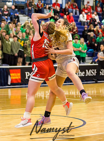 Centennial vs Shakopee Girls Basketball - State Tournament 085