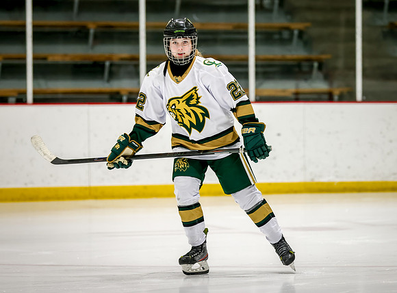 Chisago vs Rogers JV Hockey 10