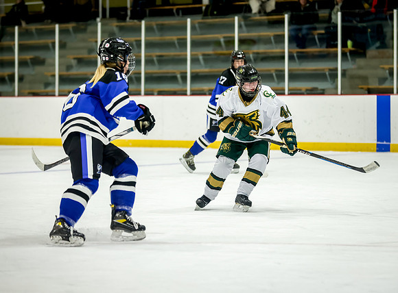 Chisago vs Rogers JV Hockey 309