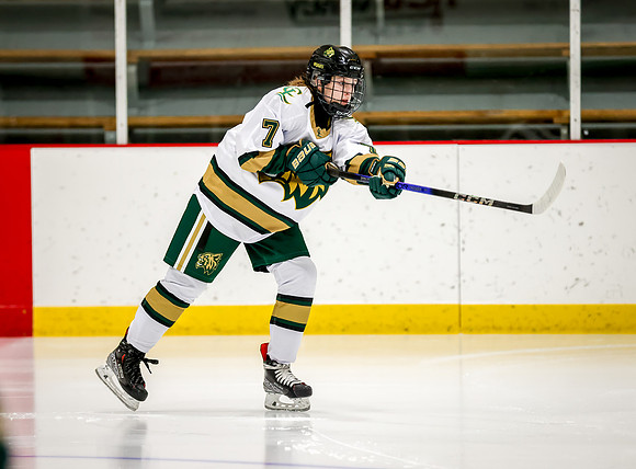 Chisago vs Rogers JV Hockey 17