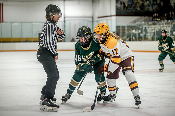Chisago vs Forest Lake Varsity Hockey 335