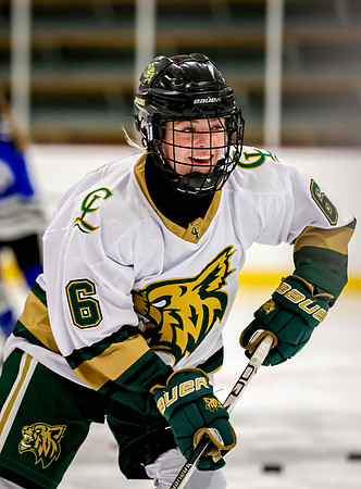 Chisago vs Rogers JV Hockey 52