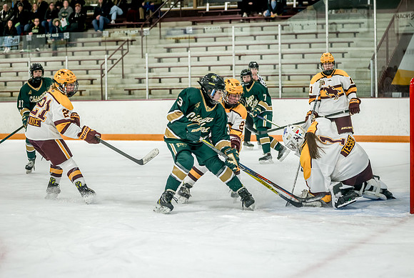 Chisago vs Forest Lake JV Hockey 120