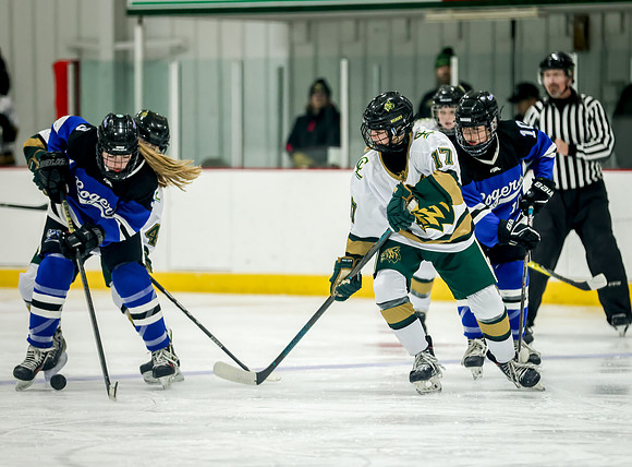 Chisago vs Rogers JV Hockey 348