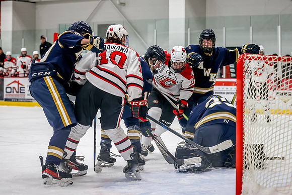 Centennial vs Hermantown Varsity Hockey 170