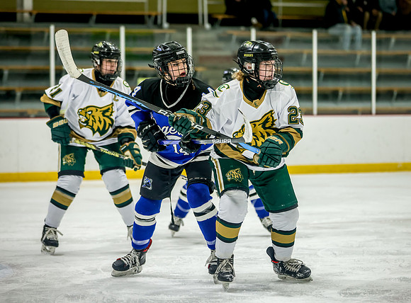 Chisago vs Rogers Varsity Hockey 137