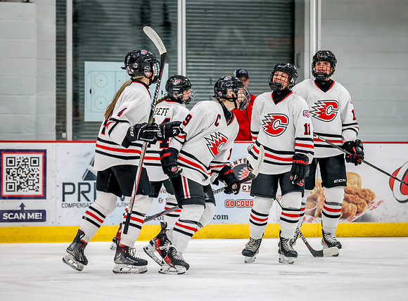 Centennial vs Elk River Varsity Hockey 42