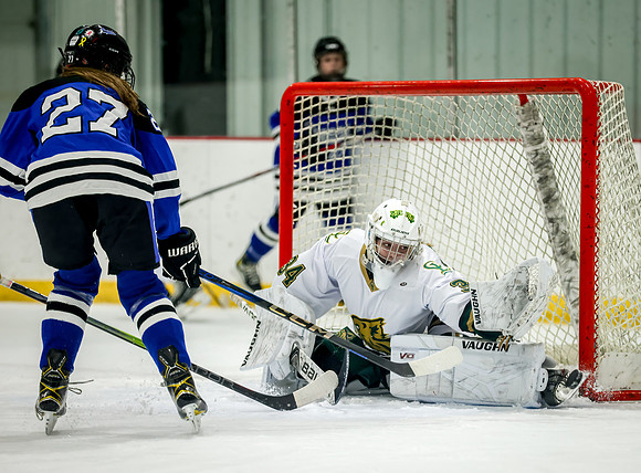 Chisago vs Rogers JV Hockey 199