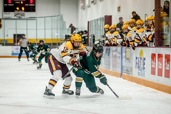 Chisago vs Forest Lake Varsity Hockey 184