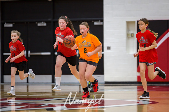 Centennial Basketball Association 139