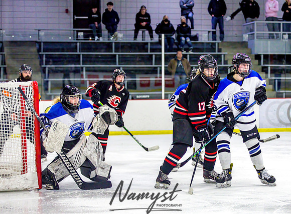 Centennial-Spring Lake Park vs Rogers Girls Varsity Hockey 321