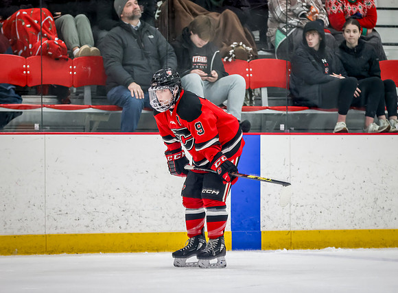 Chisago vs Rogers Varsity Hockey 101