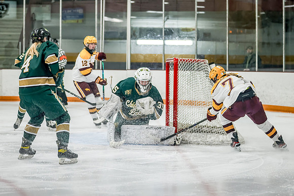 Chisago vs Forest Lake Varsity Hockey 389