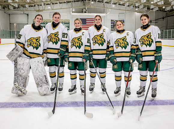 Chisago vs River Lake Stars Varsity Hoc 53