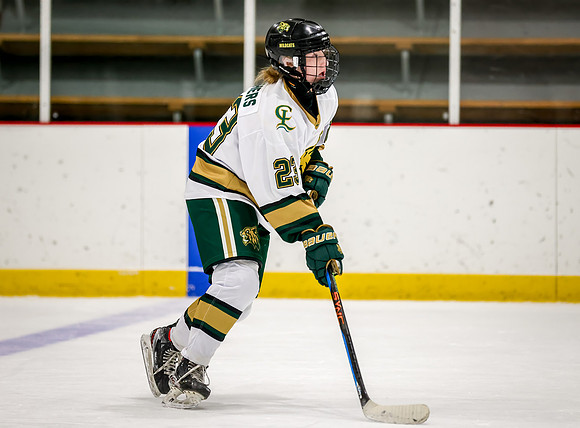 Chisago vs Rogers Varsity Hockey 33