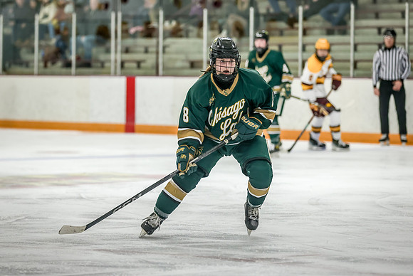 Chisago vs Forest Lake Varsity Hockey 266