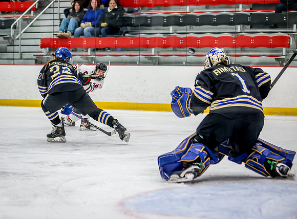 Centennial vs Holy Angels Varsity Hockey 37