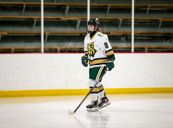 Chisago vs Rogers Varsity Hockey 86