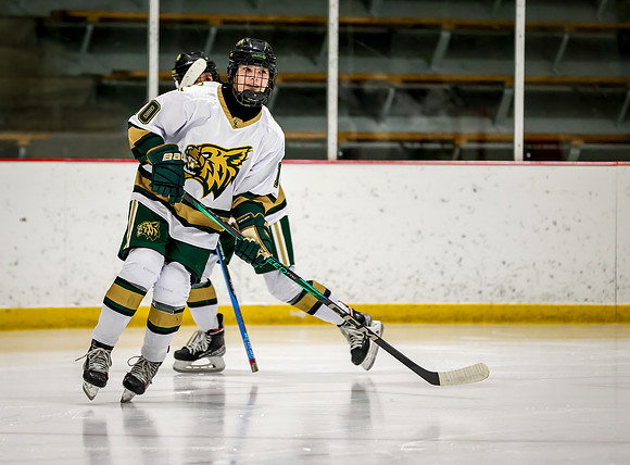 Chisago vs Rogers Varsity Hockey 58