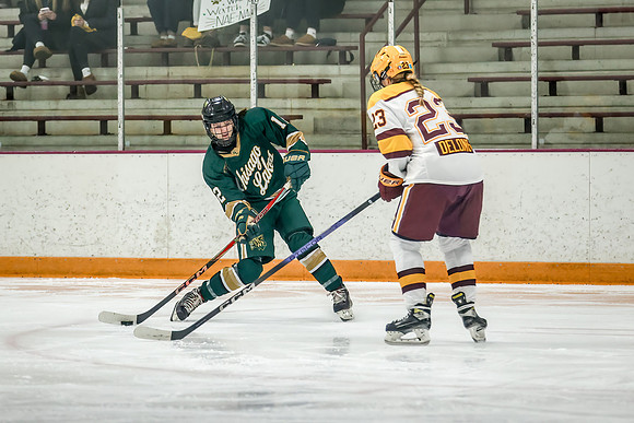 Chisago vs Forest Lake Varsity Hockey 252