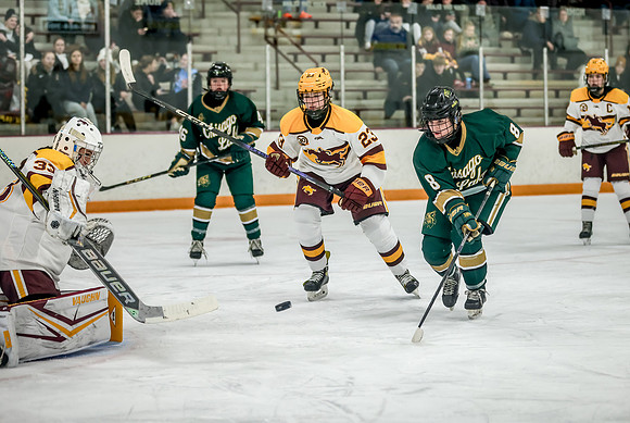 Chisago vs Forest Lake Varsity Hockey 219