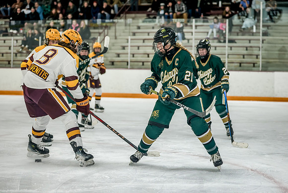 Chisago vs Forest Lake Varsity Hockey 418