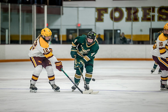 Chisago vs Forest Lake Varsity Hockey 228