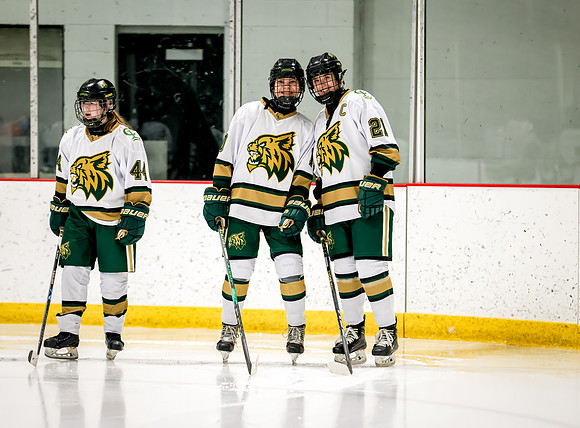 Chisago vs Rogers Varsity Hockey 74