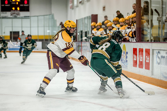 Chisago vs Forest Lake Varsity Hockey 187
