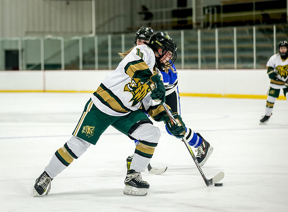 Chisago vs Rogers JV Hockey 262