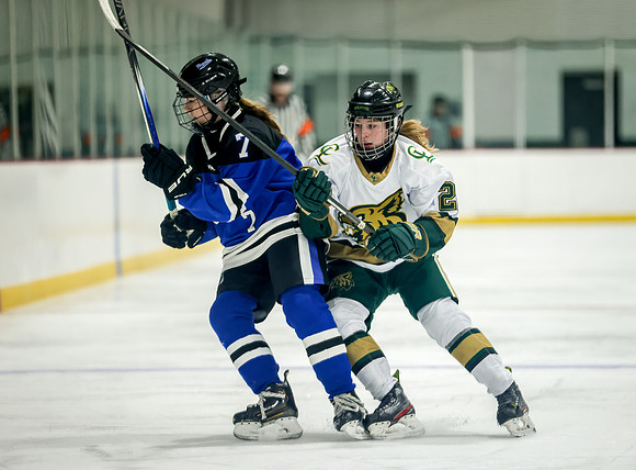 Chisago vs Rogers JV Hockey 92
