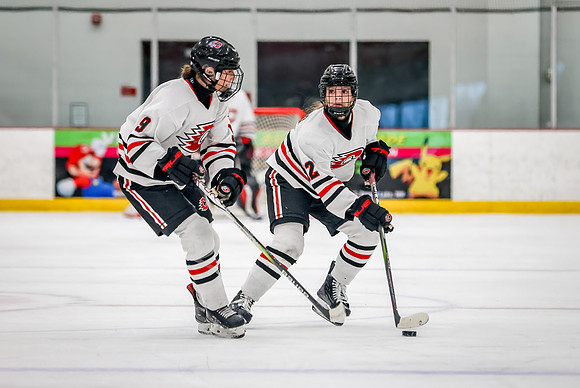Centennial vs Maple Grove Varsity Hockey 151