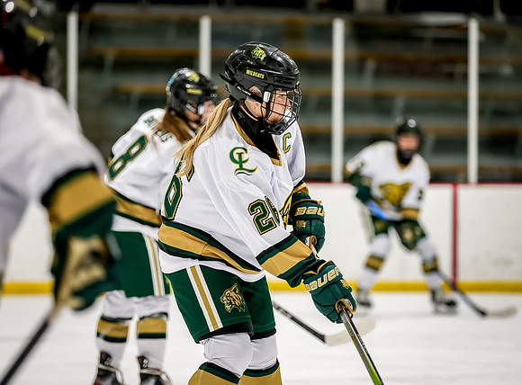 Chisago vs Rogers Varsity Hockey 6