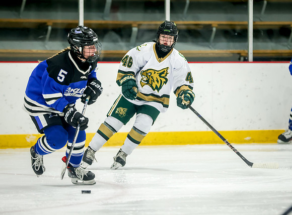 Chisago vs Rogers Varsity Hockey 123