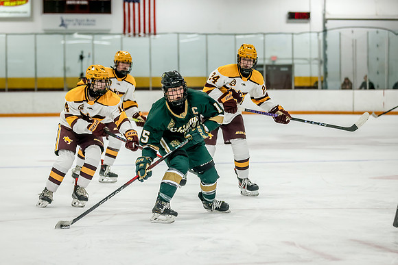 Chisago vs Forest Lake Varsity Hockey 315